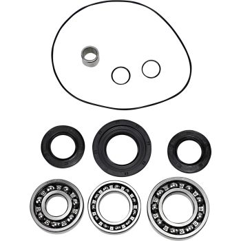 DIF BEARING SEAL KIT RR