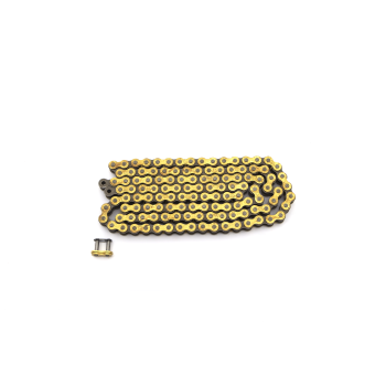 CHAIN GS415HSB X 118 L