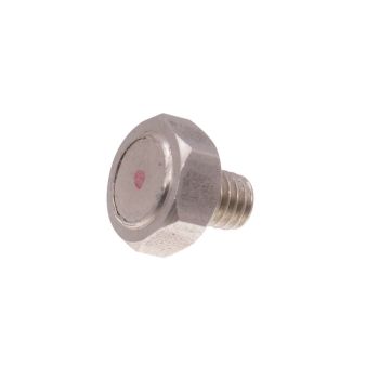 Magnetiseeritud polt pidurikettale - M6x1,0x12,6