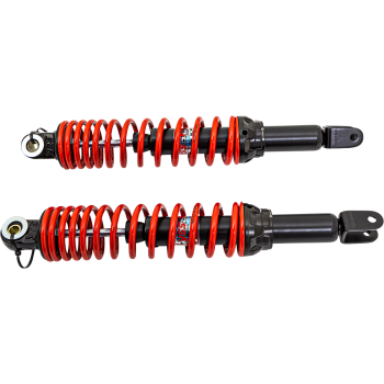 RR TSHK SYM/GTS 300i 13-17