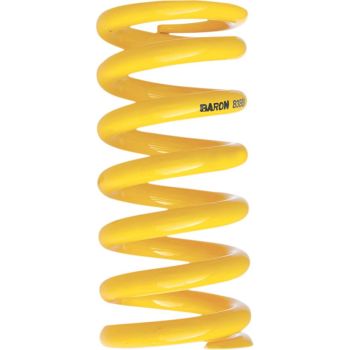 SPRING REAR PERF