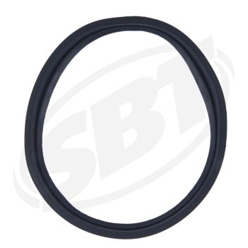 SBT Seal Sea Doo