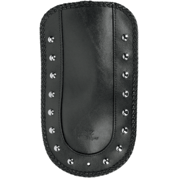 BIB FENDER STUD 06-10FXST