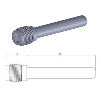 BRAKE CALIPER PIN