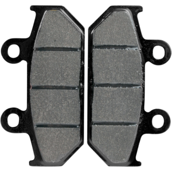BRAKE PAD SINT FR