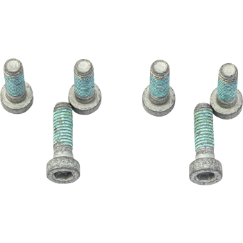 BRAKE ROTOR BOLTS