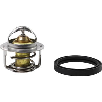 THERMOSTAT POLARIS