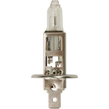 BOSCH TULEPIRN H1