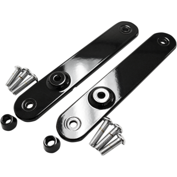 MOUNTS TURN SIGNAL FL BK