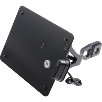 LICENSE PLATE AUS SCOUT