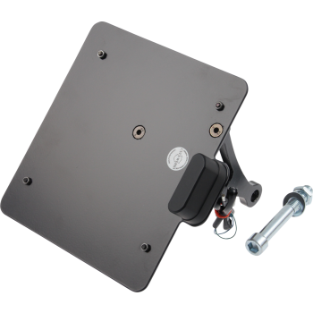 LICENSE PLATE DE VROD