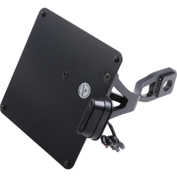 LICENSE PLATE IT SCOUT