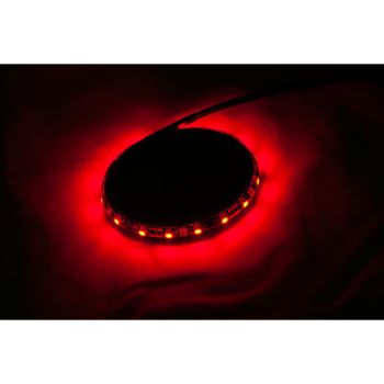 LIGHT FLEX2 WHL BLK PURPL