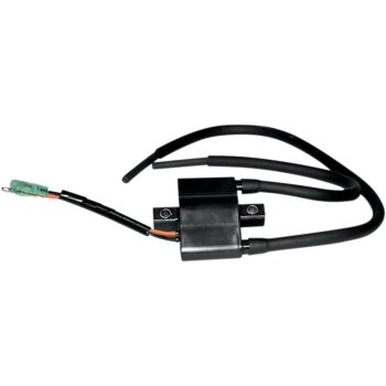 COIL IGNITION ARCTIC