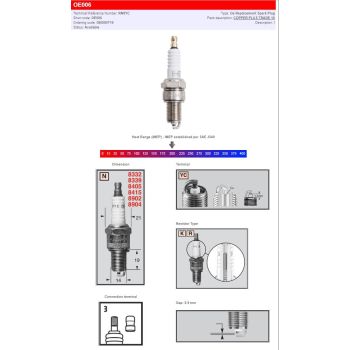 CHAMPION S-PLUG RN9YC