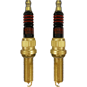 SPARK PLUGS CHALLENGER