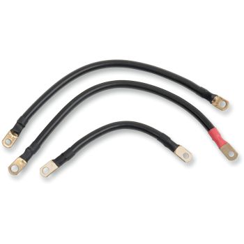 CABLES BAT F/93-06 FL´S