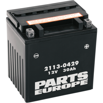 Aku Parts Europe High Performance YIX30L-BS