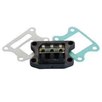 Polini lamellklapp Honda, Kymco, Peugeot, SYM vertikaalne jaoks