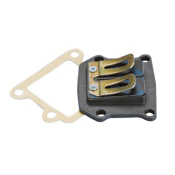 reed klapp Polini Minarelli vertikaalsele mootorile