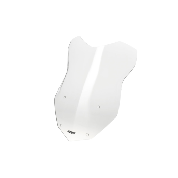 WSCRN INTER R1250GS CLEAR