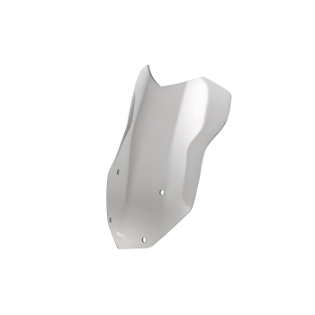 WSCRN INTER R1250GS SMOKE