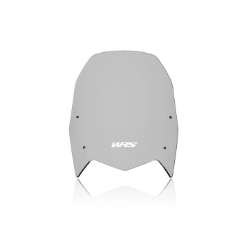 STNDRD WNDSCRN TEN700 SMK