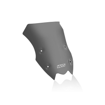 WSCRN SPORT Z900 DARK SMOKE