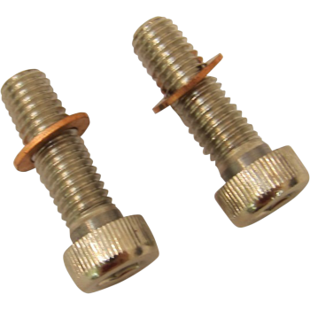 SCREWS W/WSHRS DMPR TB
