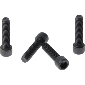 FORK TRIPLE CLAMP SCREWS