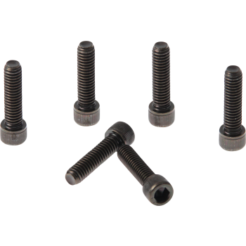 FORK TRIPLE CLAMP SCREWS