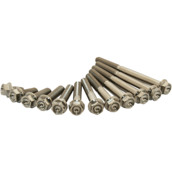 TITANIUM BOLT M6X15 PACK OF 2