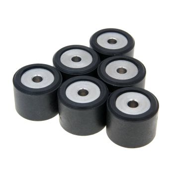 roller set / variator weights Polini 21x17mm - 10.3g