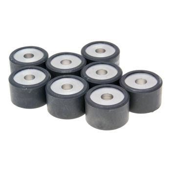 roller set / variator weights Polini 25x16mm - 15.0g (8pcs)
