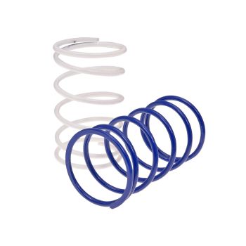 torque / variator'i reguleerimisvedrude komplekt Polini Evolution (2 tk) -30%, -8% Piaggio jaoks