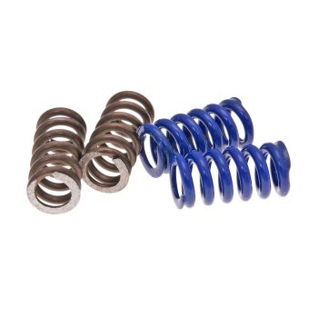 clutch spring kit for Polini Speed ??Clutch 2G EVO2, 2 pair