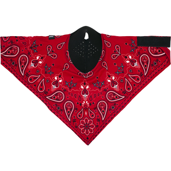 "NEODANNA SPFLX RED PAISLY"