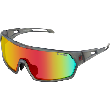 "SUNGLASS SPEED CLR/GRY"