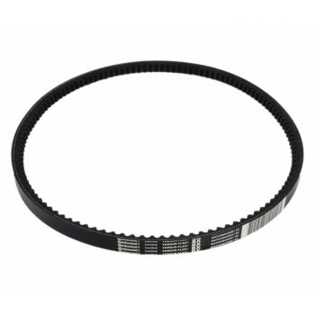 Toothed belt BX41 17x1086LD, pc