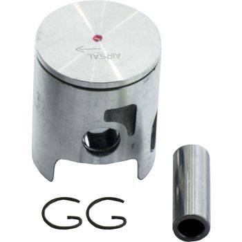 Airsal Piston kit (301-1038)