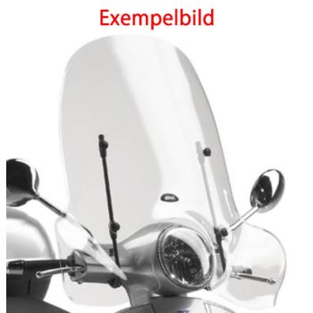 Specific screen, transparent 50,8 x 66 cm (H x W)