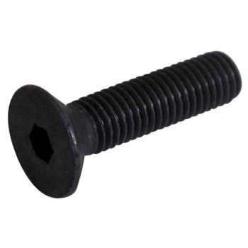 Sisekuuskantpolt 10X45 mm