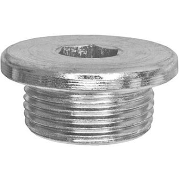 Õlikork+tihend VAG M24x1,5x11 võti HEX