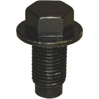 Õlikork+tihend M12x1,25x22 võti 14 mm