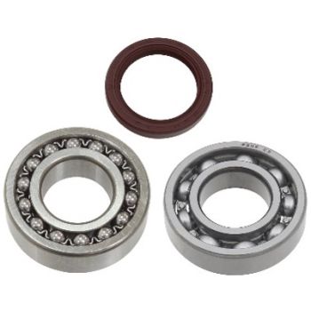 SNO-X Chaincase Bearing Kit YAMAHA