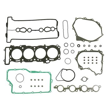 FULL SET W/Oil sealS Yamaha Apex RX10