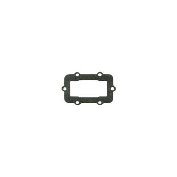 REED GASKETS