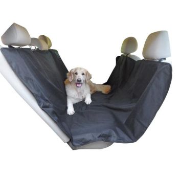 Tagaistme kaitse, 165x145 cm