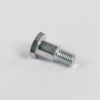 Vis m10x24.5mm
