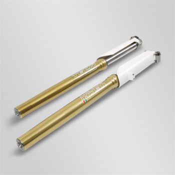 Fourche Formula Tech 46/52mm 770mm